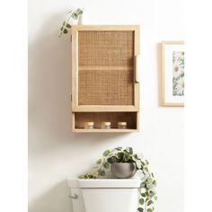 a toilet with a wooden shelf above it and some plants on the wall next to it