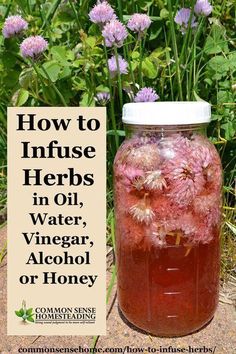 How to infuse herbs - Make your own flavored cooking oils or flavored vinegars, delicious extracts, or homemade medicines from your garden. Herbs In Oil, Flavored Vinegars, Magia Das Ervas, Herbal Tinctures, Herbal Recipes, Herbal Apothecary, Natural Healing Remedies, Herbal Healing, Cooking Oils