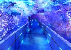 a woman is walking down an underwater walkway