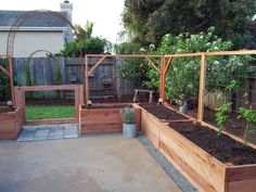 an outdoor garden area with various plants in the ground and fenced in areas around it