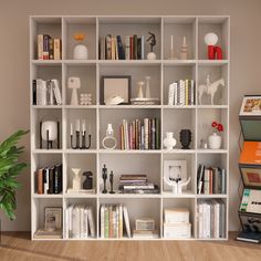 a white bookcase filled with lots of books next to a green potted plant