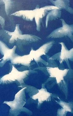 a flock of white birds flying in the sky