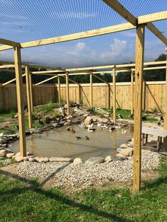 a small pond in the middle of a fenced in area with rocks and grass