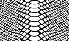 an abstract black and white background with wavy lines in the shape of a snake's head