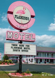 the flamingo motel sign is pink and white