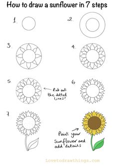 how to draw a sunflower in 7 steps step by step drawing instructions for kids