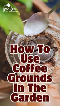 a person holding a spoon in their hand with the words how to use coffee grounds in the garden