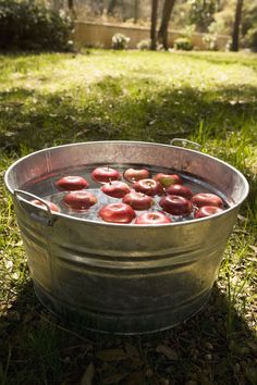 a metal tub filled with water and apples on top of green grass in a yard