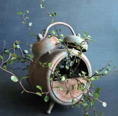 an old teapot with some plants growing out of it