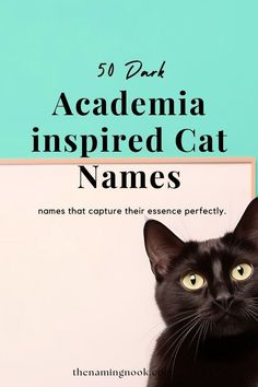 a black cat sitting in front of a sign with the words,'50 dark academy inspired cat names '