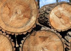 several pieces of wood stacked on top of each other in front of some trees with no leaves