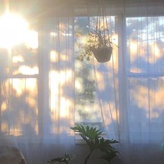 the sun is shining through the window behind the curtains