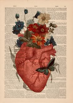 an image of a human heart with flowers and butterflies on top of the book page