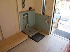 a dog is standing in the door way of a bathroom that has a ramp on it