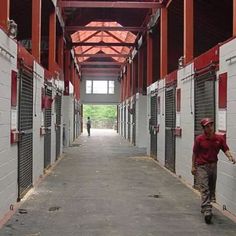 a man walking down a long hallway between two red and white buildings with shutters on both sides