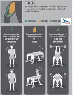 an info sheet describing how to use the exercise machine for chest presses and push ups