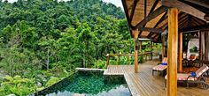 a wooden deck overlooking a pool surrounded by lush green trees and greenery in the background