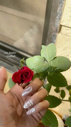 a woman's hand holding a red rose with white acrylic nails