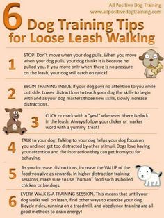 a poster with instructions on how to train your dog for leash training in the fall or winter