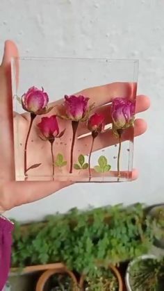 a hand holding a glass vase with pink flowers in it and green leaves on the inside