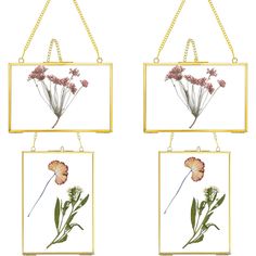 three frames with flowers hanging from them