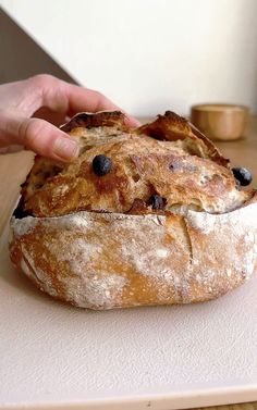 This Cinnamon Raisin Sourdough Bread is crusty on the outside, soft on the inside, and has swirls of cinnamon and juicy raisins in every bite! Cinnamon Raisin Sourdough Bread, Raisin Sourdough Bread, Cinnamon Raisin Sourdough, Bread Artisan, Date Bread, High Protein Flour, Artisan Bread Recipes