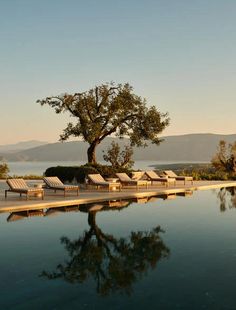 an empty pool with chaise lounges next to it and a tree in the background