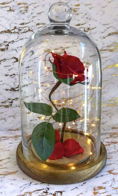 a red rose under a glass dome with lights