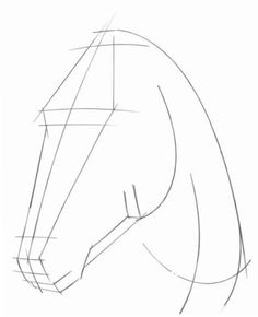 how to draw a horse's head