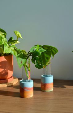 three pots with plants in them on a table