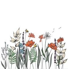 an image of flowers and plants on a white background