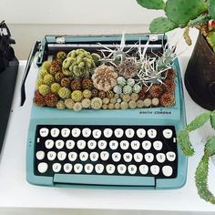 an old fashioned typewriter with succulents and cacti on it