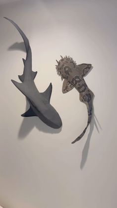 two different types of sharks on display in a museum