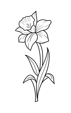 Easter Lily Drawing, Cartoon Flower Tattoo, Flower Outline Embroidery, Pyrography Patterns Printable, Cute Easy Animal Drawings, Flower Stencil Patterns, Simple Flower Drawing, Plant Drawings, Bag Drawing