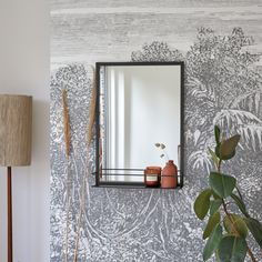 a mirror hanging on the wall next to a potted plant