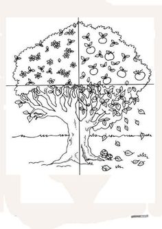 an apple tree is shown with four different sections