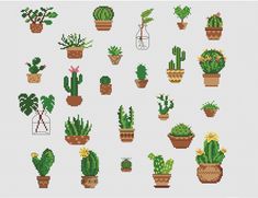 cross stitch pattern with potted cactuses and cacti in different shapes, sizes and colors