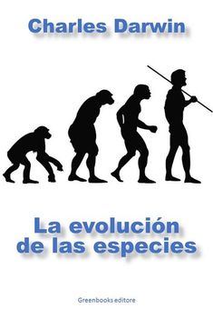 the evolution of humans in spanish