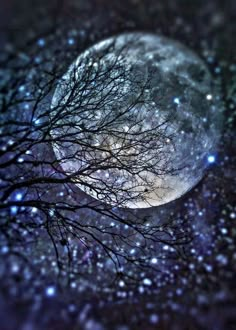 a full moon is seen through the branches of some trees in front of a night sky with stars