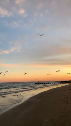 seagulls flying over the beach at sunset