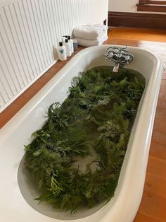 a bathtub filled with green plants and soap