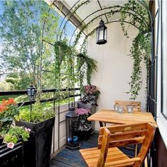 an outdoor patio with potted plants and wooden chairs on the outside decking area