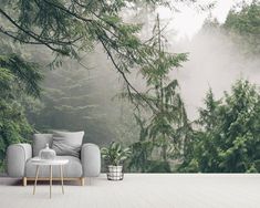 a couch sitting on top of a wooden floor next to a forest filled with trees