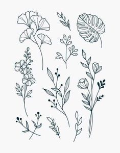 some flowers that are drawn in black and white