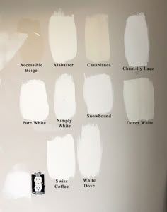 white paint swatches on the wall in different colors and sizes, all labeled with names