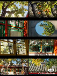 many different images of trees and buildings