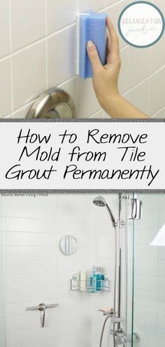 how to remove mold from tile grout permanently with the help of a professional cleaner