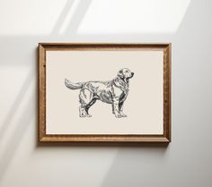 a drawing of a dog is hanging on the wall