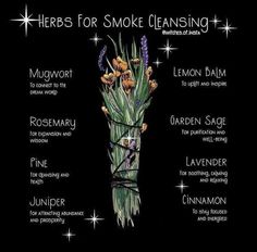 Emotions And Essential Oils, Wicca Holidays, Essential Oil Perfume Blends, Smudging Prayer, Rasta Art, Dream Word, Magickal Herbs, Witch Garden, Grimoire Book