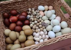 a basket filled with eggs sitting on top of a wooden table